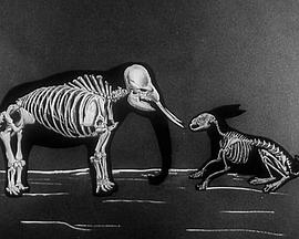 Similarities Between Length and Speed