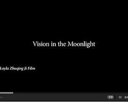 Vision In The Moonlight