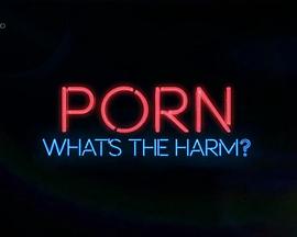 Porn: What's the Harm?