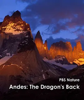 Andes The Dragons Back
