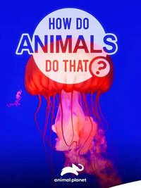 How Do Animals Do That?