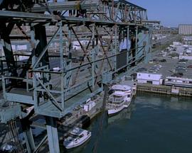 The Pretender 2001