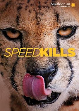 Speed Kills