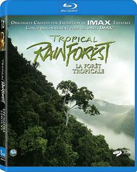 Tropical Rainforest