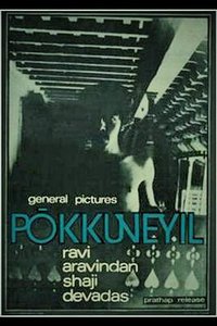 Pokkuveyil