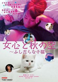 A woman’s mind and the winter wind change often: Immoral kitten