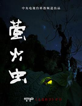 萤火虫
