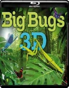 Big Bugs