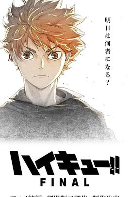 排球少年!! FINAL 第一部