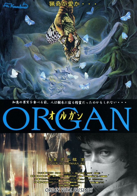 Organ