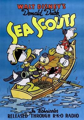 Sea Scouts