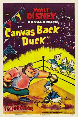 Canvas Back Duck