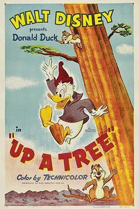 Up a Tree