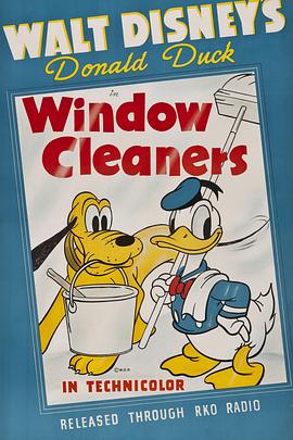 Window Cleaners