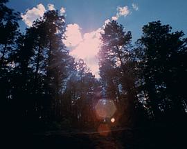 Visions in Meditation #3: Plato's Cave