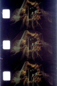 Chutes de Maya