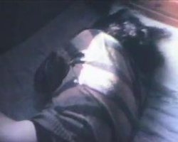 毛髪歌劇