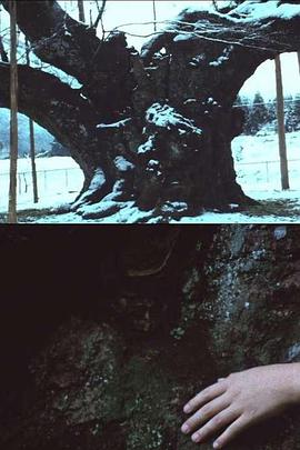 ‎The Cherry Tree with Gray Blossoms