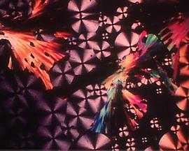 Liquid Crystals