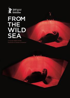 From the Wild Sea