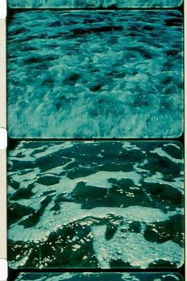 A Child's Garden and the Serious Sea