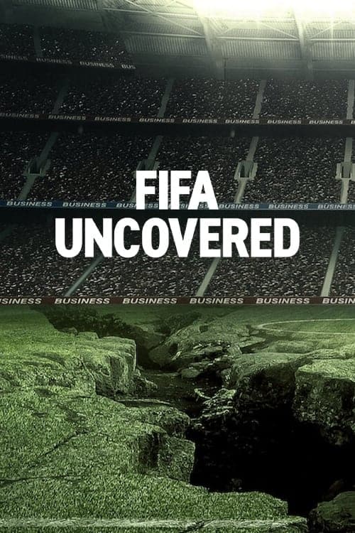 FIFA揭秘:足球、金钱与权力