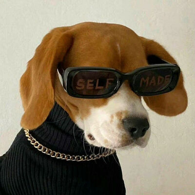 2047