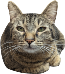 Emoji MiraLovesYou