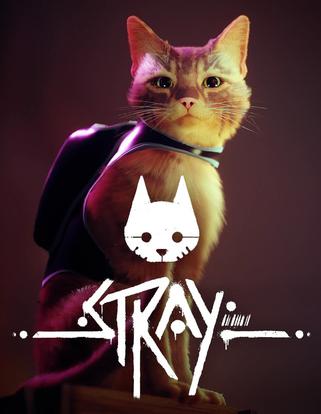 迷途 Stray