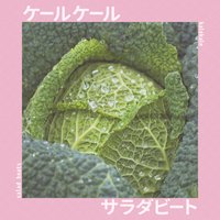 salad beats