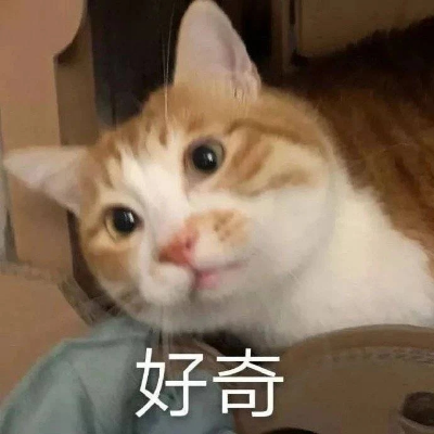 Avatar for 三月的杏仁