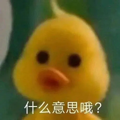 砵典乍天光墟