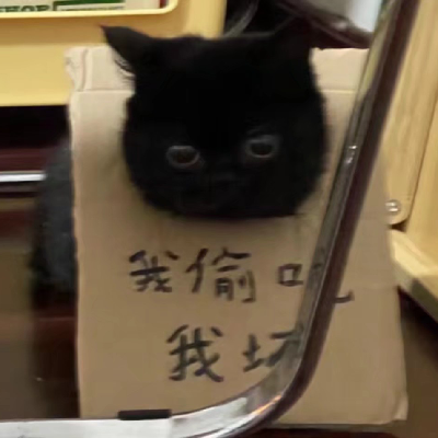 Avatar for 可能是一只猫