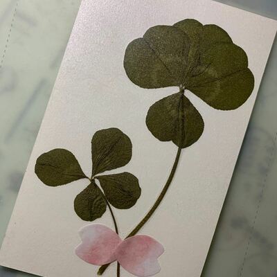 @blacktealee@neodb.social