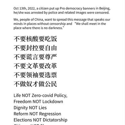 Avatar for 從高處墜落的馮霍亨法尔🇺🇦🇹🇼🇵🇸 :verified: