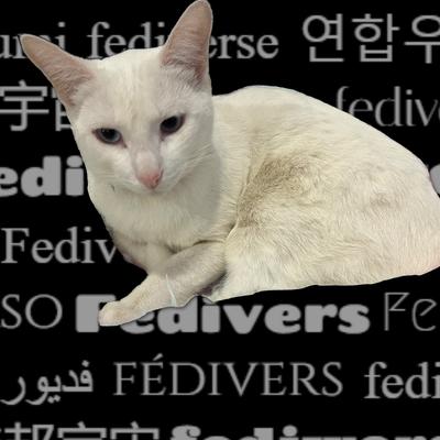 Avatar for technicat