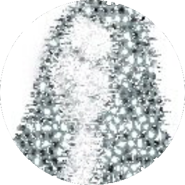 Avatar for Carolyn