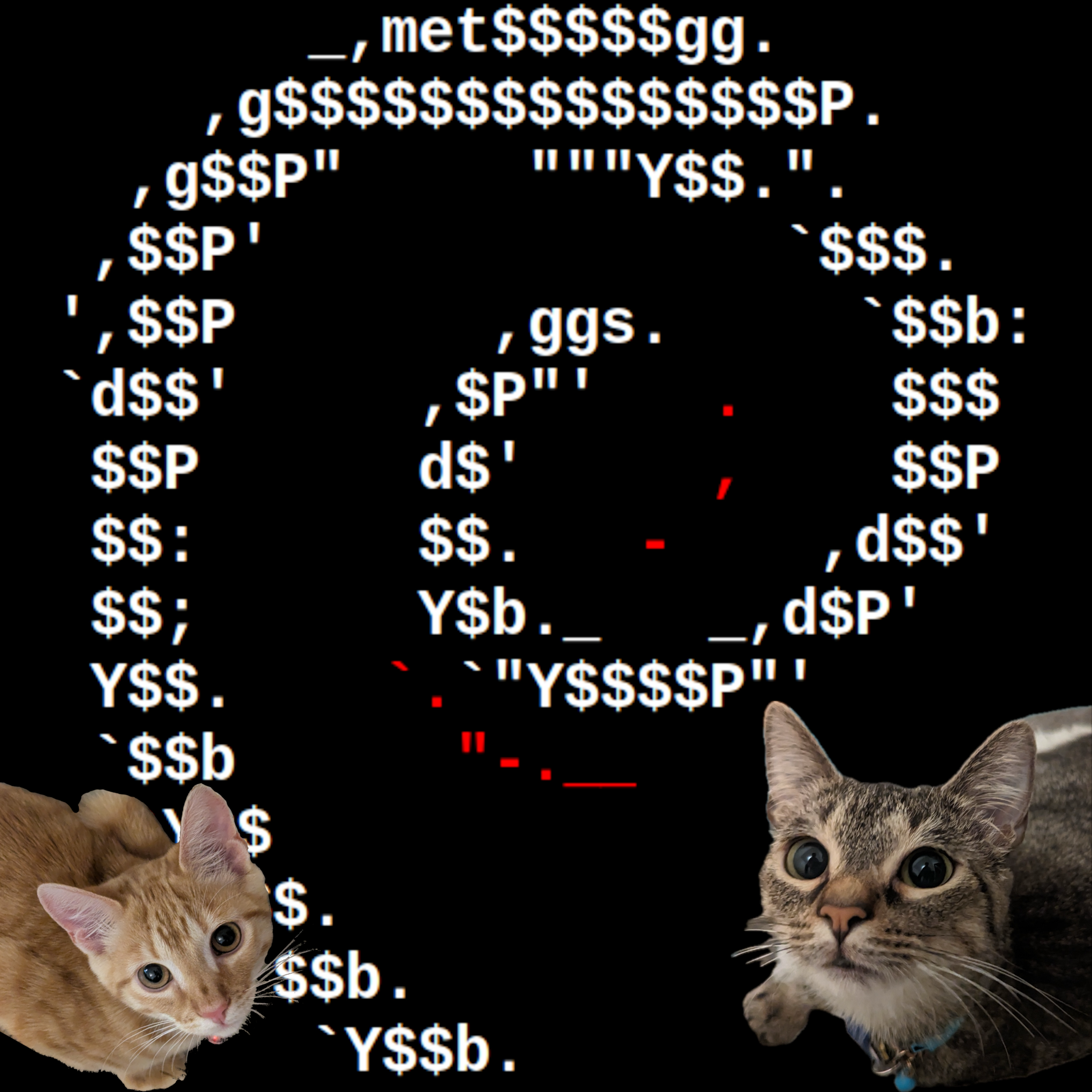 Avatar for R.L. Dane :Debian: :FreeBSD: :OpenBSD: :NetBSD:🍵 :MiraLovesYou: