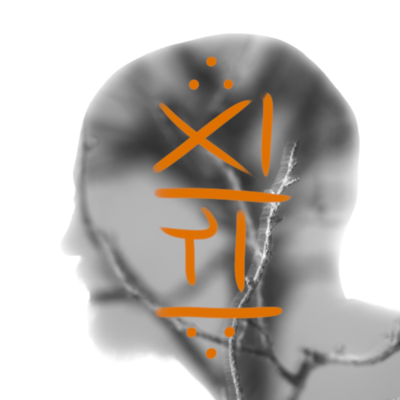 Avatar for Bad Diode