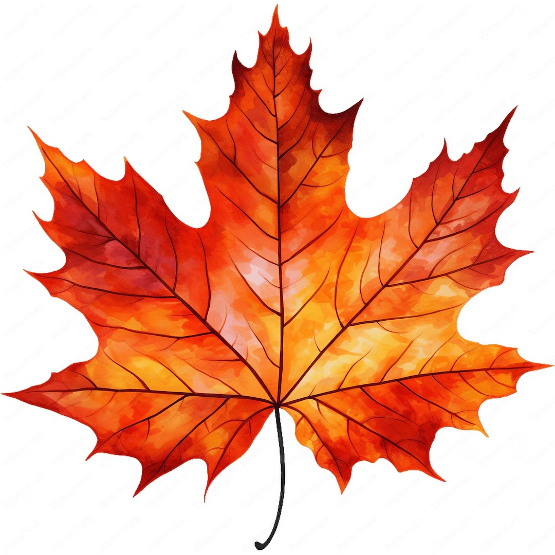 Avatar for Lemmyoutofhere@lemmy.ca