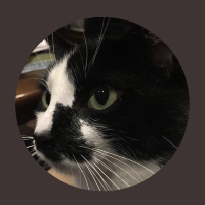 Avatar for @bookaholic has moved