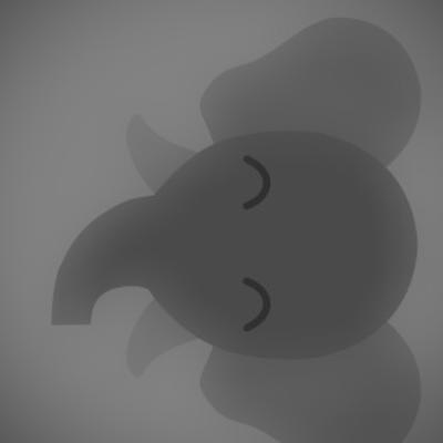 Avatar for ax6761