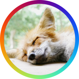 Avatar for Foxes Every Hour