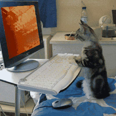 Avatar for Cats Who Resist!