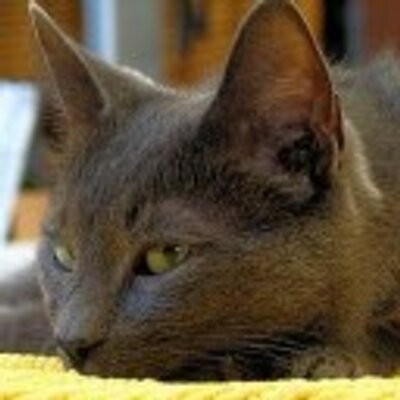 Avatar for Darkoneko