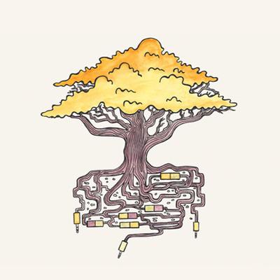 Avatar for Circuits in the Woods