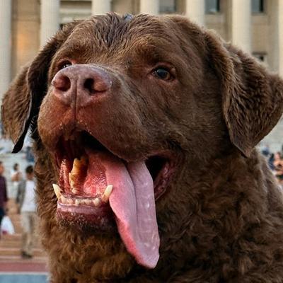 Avatar for diogenes rocco catilina
