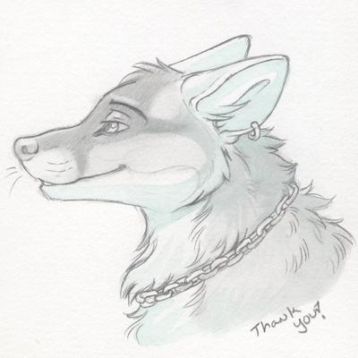Avatar for Xoa Gray