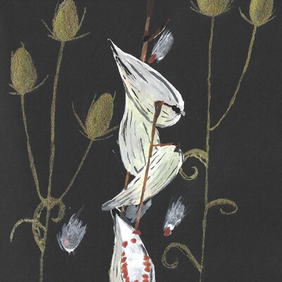 Avatar for mycelia