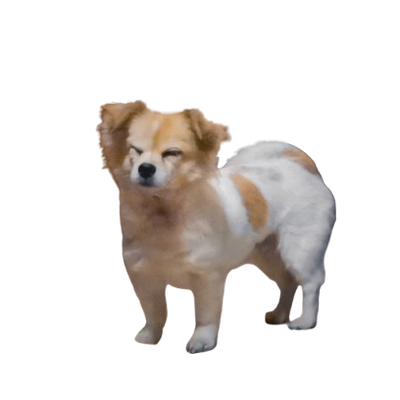 Avatar for 妳太愛思考了